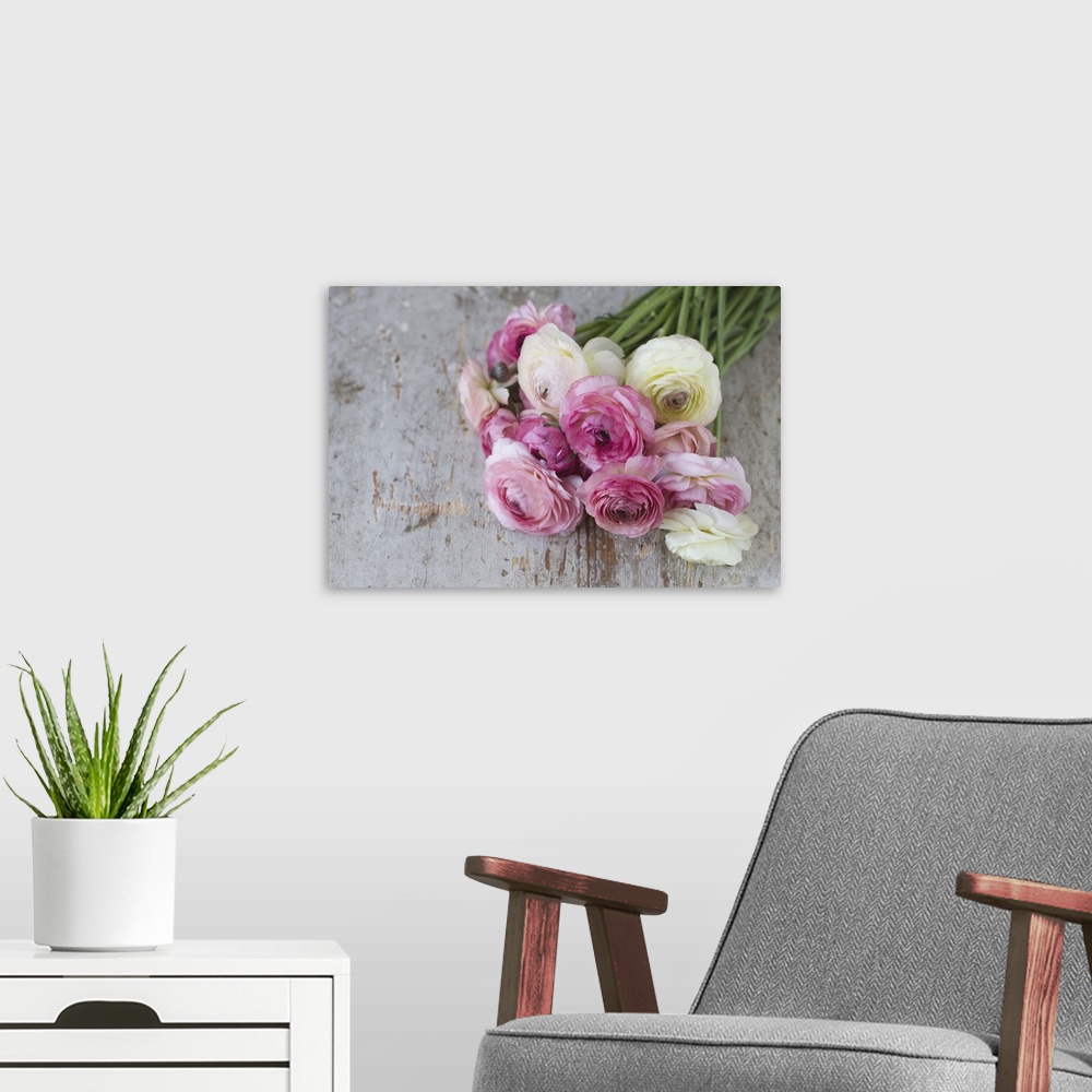 A modern room featuring Group of pastel colored ranunculus lying on aged painted wood.