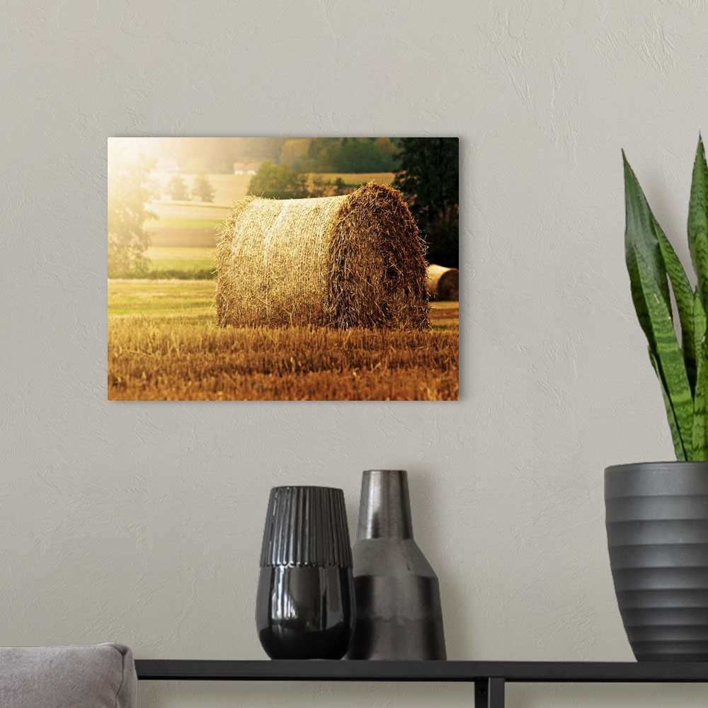A modern room featuring Hay bale on field.
