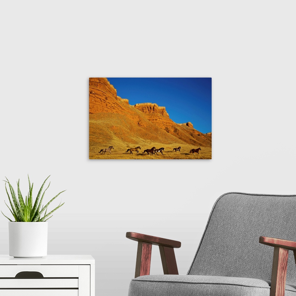 A modern room featuring Herd of horses running along the Red Rock hills of the Big Horn Mountains