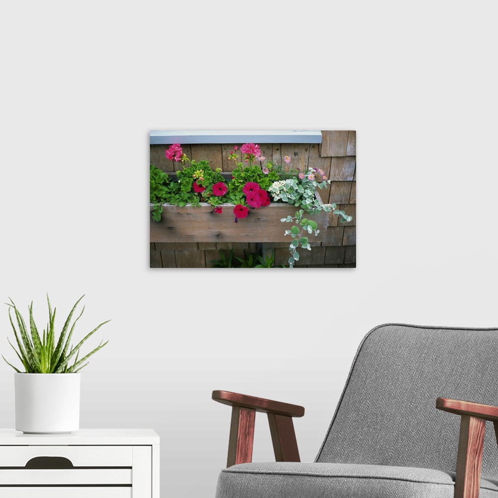 A modern room featuring Image of a House, Front View, United State of America, Nantucket Island
