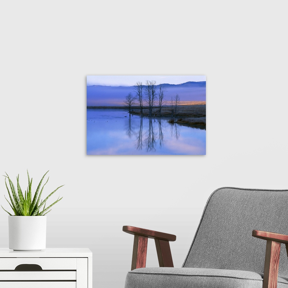 A modern room featuring Leafless trees reflecting on pond