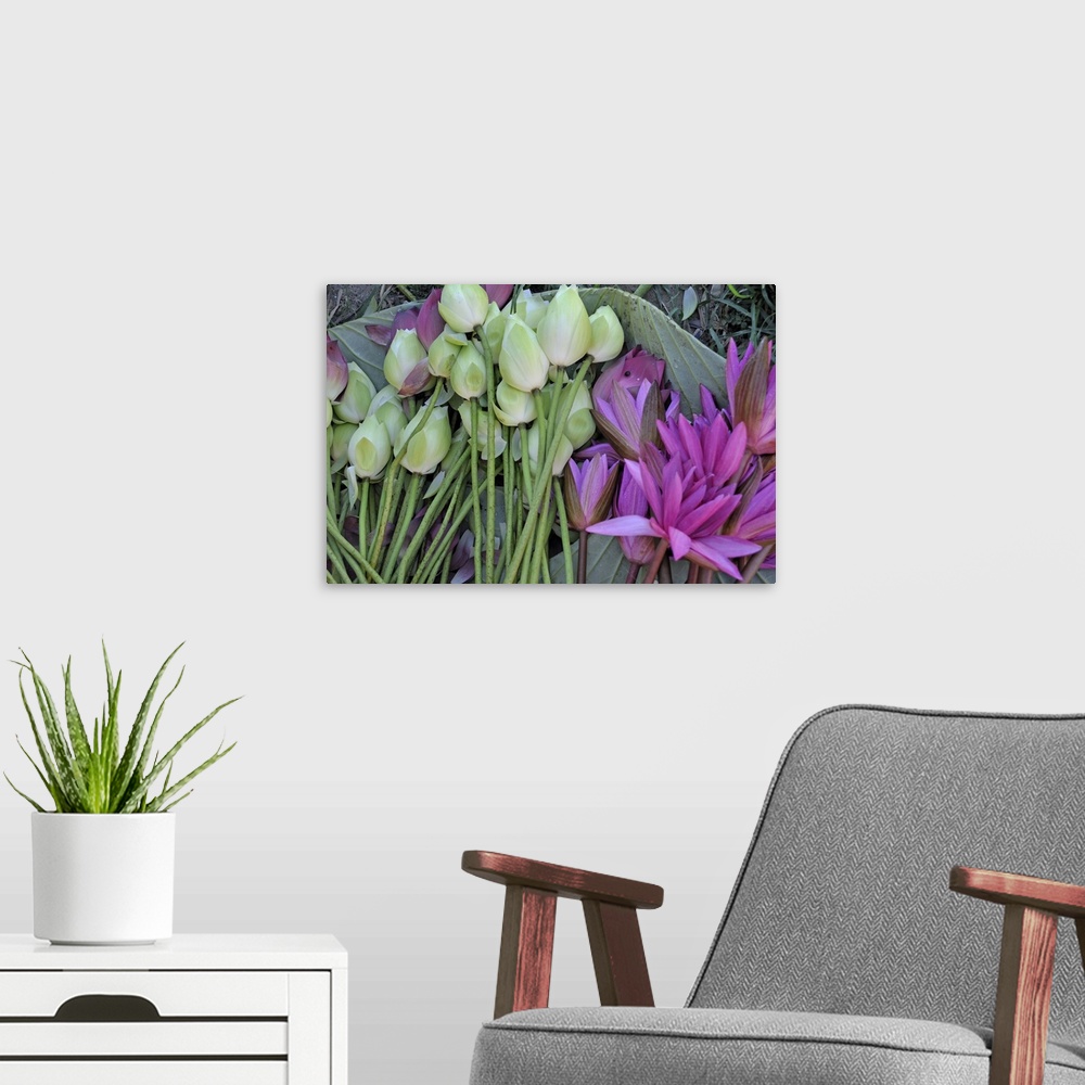 A modern room featuring Lotus flowers arrengement on water lily leaves