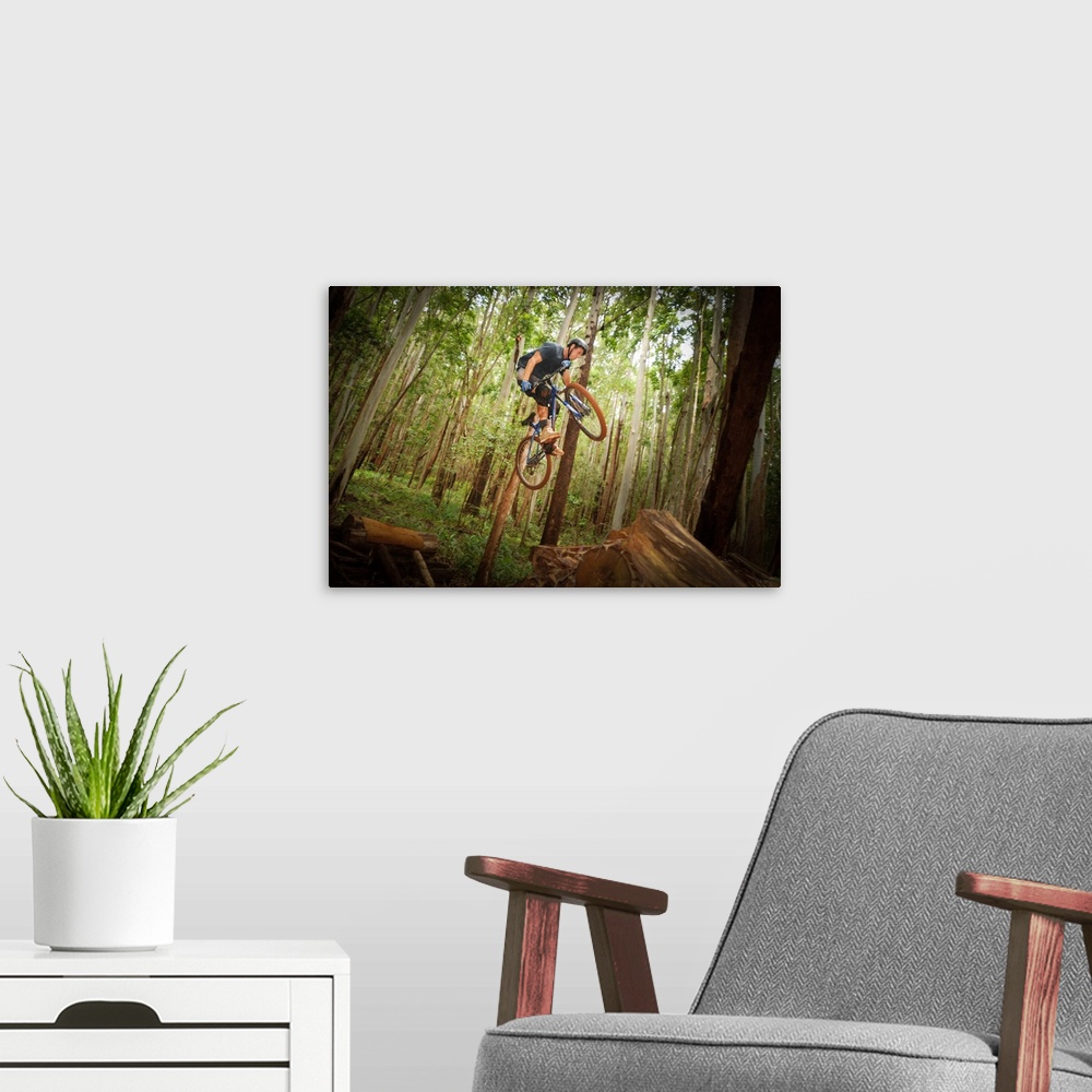 A modern room featuring Mountain biker jumps with  trees in background at forest in Makawao, Hawaii.
