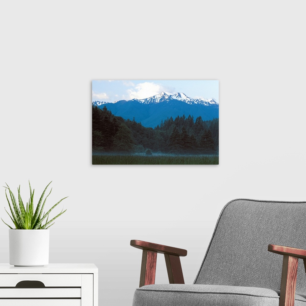 A modern room featuring Olympic National Park , Mt. Olympus , Washington