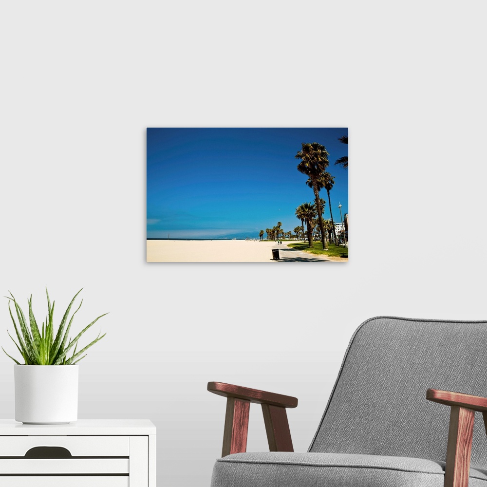 A modern room featuring Palm trees along beach, Venice, California