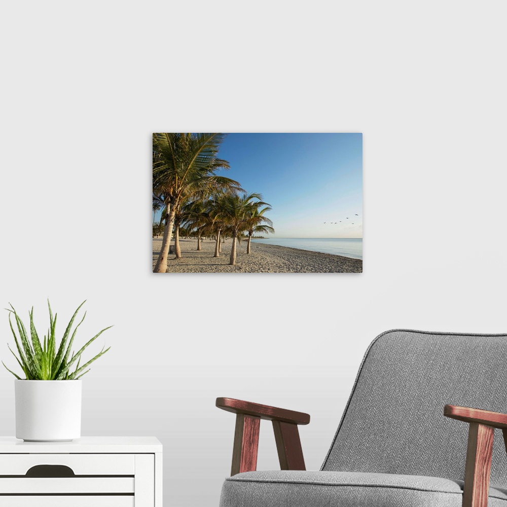 A modern room featuring Crandon Beach, Crandon Park, Key Biscayne, Miami, Florida, USA.