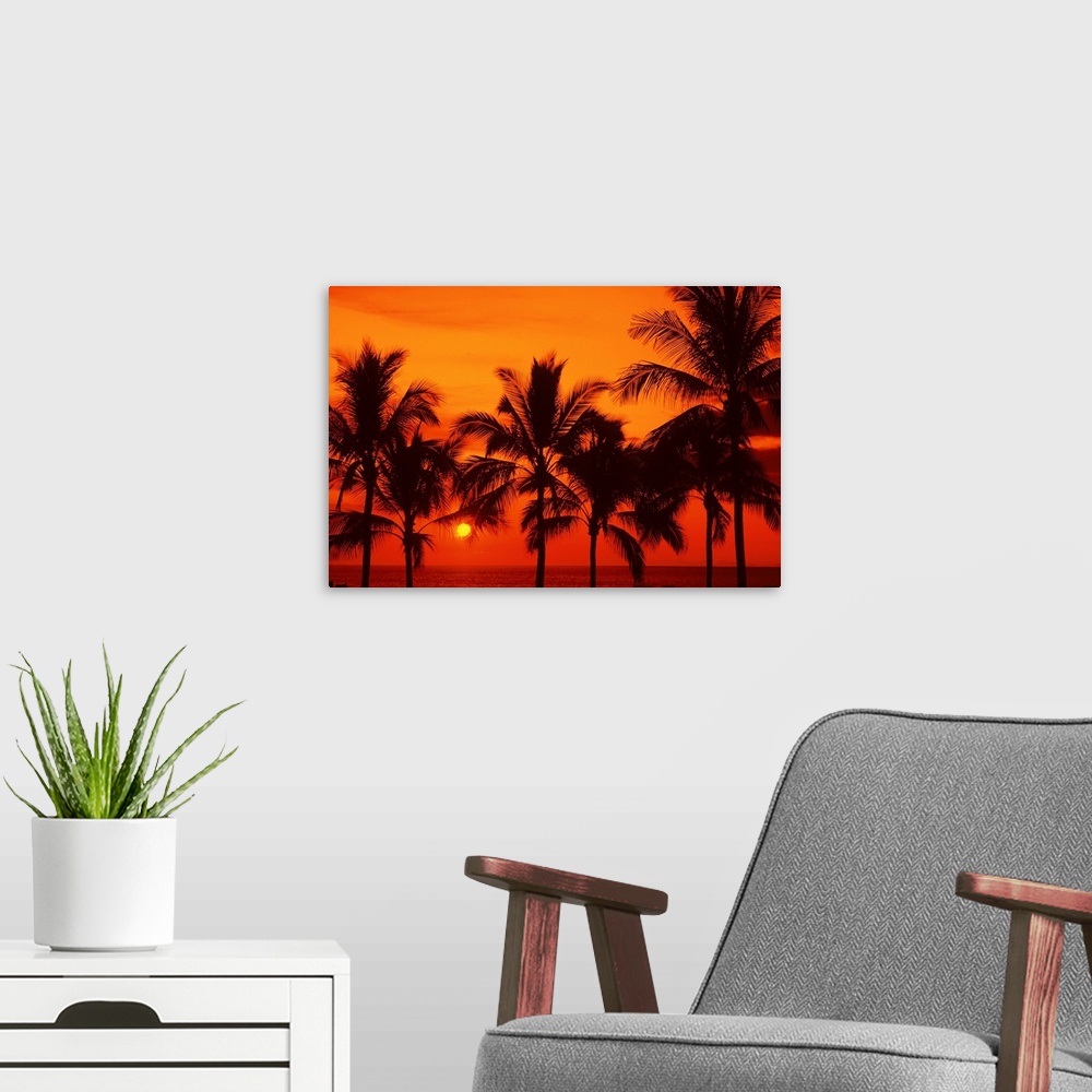 A modern room featuring Palm trees silhouetted by bright yellow sunball, red sunset sky