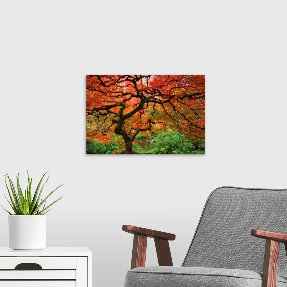A modern room featuring Large wall art of a landscape photograph with soft focus of an old tree with twisting branches in...