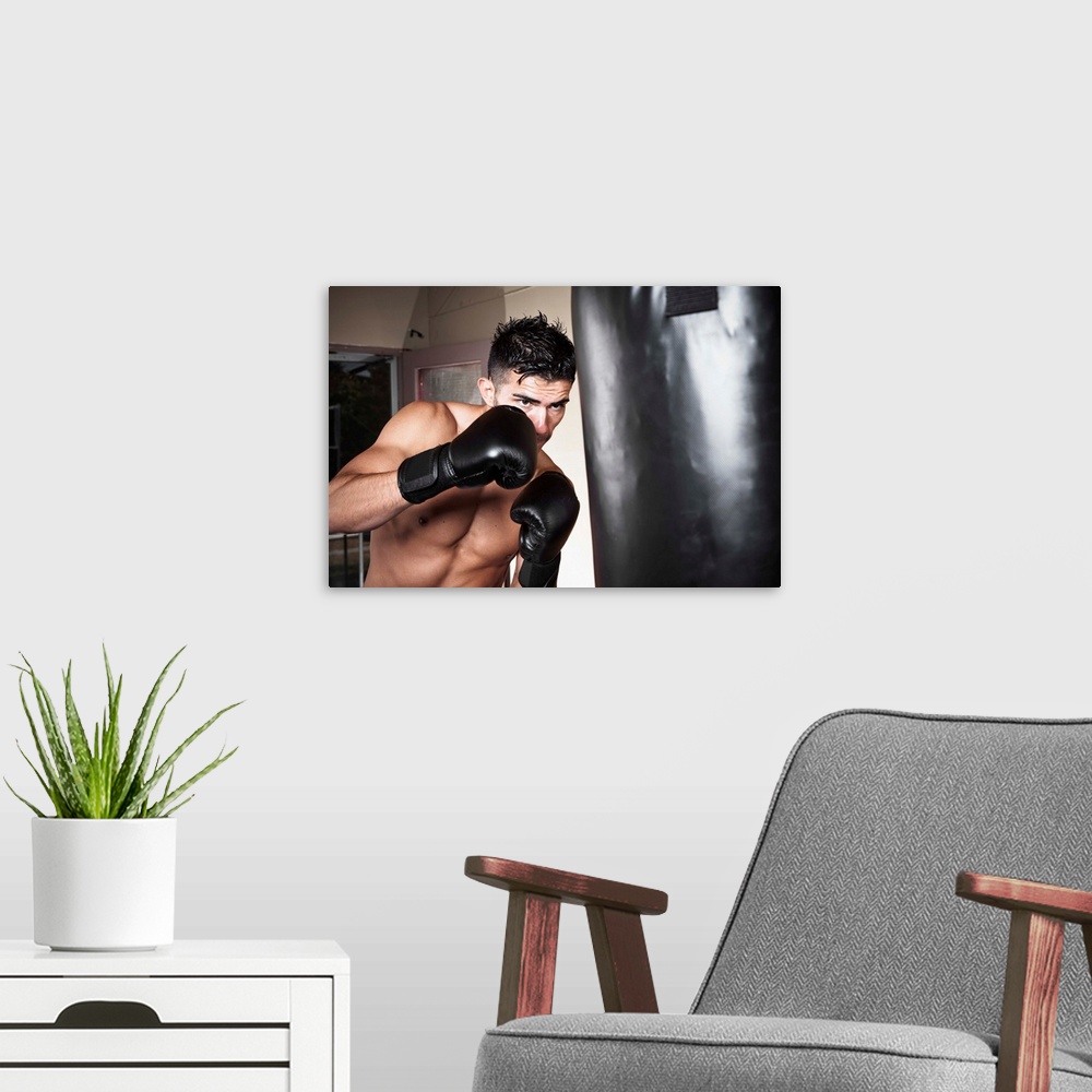 A modern room featuring USA, Seattle, Portrait of young man boxing in gym