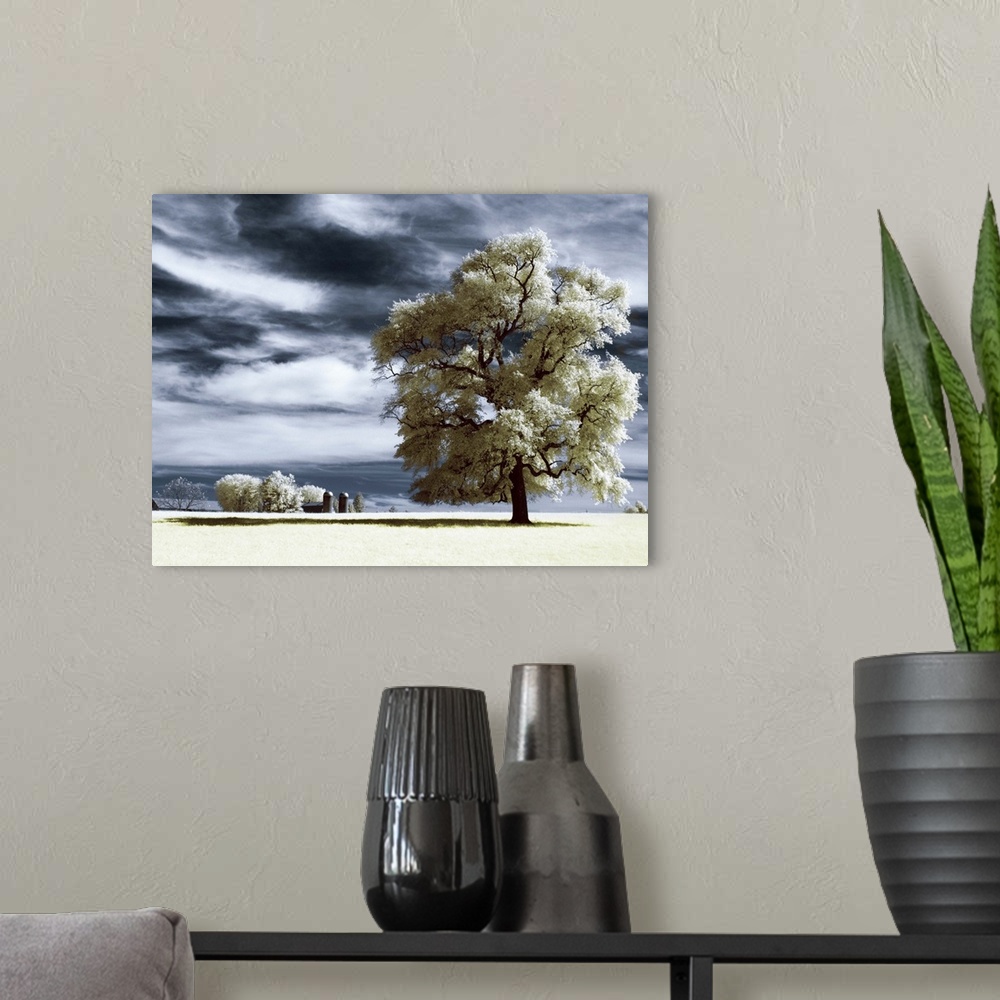 A modern room featuring Solitary tree in surreal farm landscape.