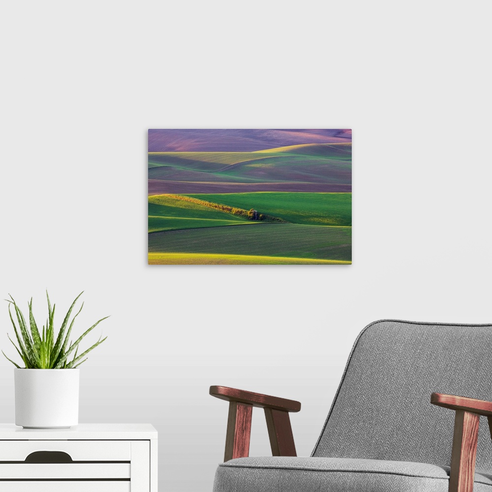 A modern room featuring North America;USA;Washington;Palouse Country;Spring Rolling Hills of Wheat and Fallow fields