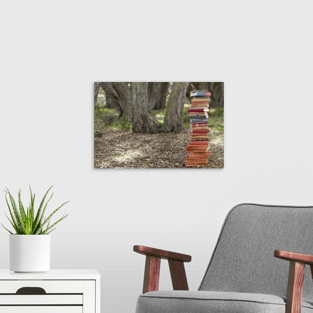 A modern room featuring Stack of books in forest