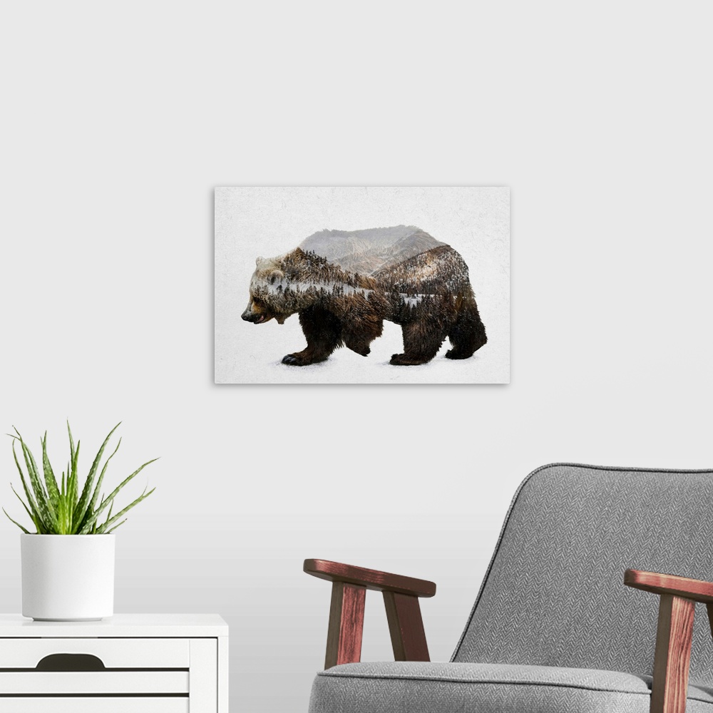 The Kodiak Brown Bear Wall Art, Canvas Prints, Framed Prints, Wall ...