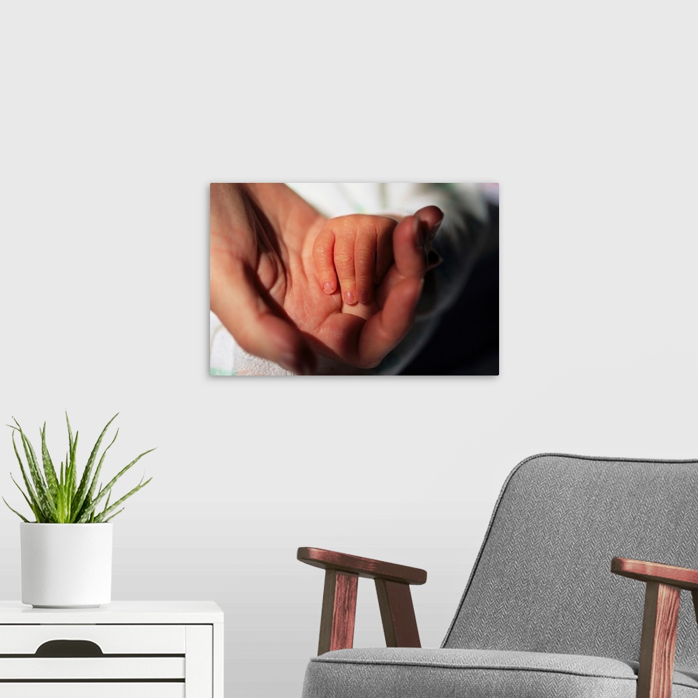 A modern room featuring A close view of a mother holding her newborn baby's hand.
