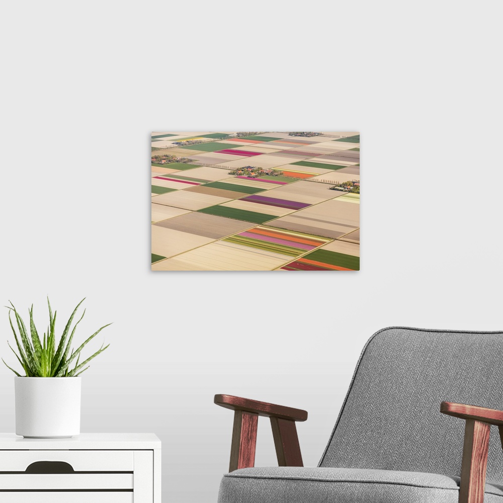 A modern room featuring Aerial view of the tulip fields in North Holland, The Netherlands