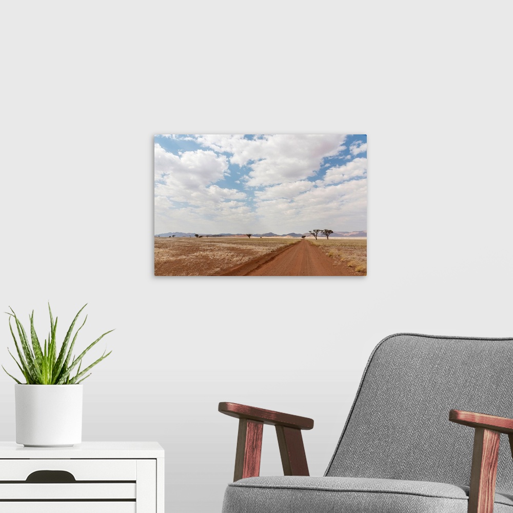 A modern room featuring Africa, Namibia, Namib Rand area. Road in the desert.