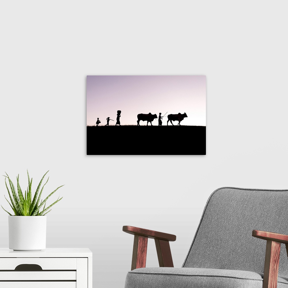 A modern room featuring Burmese farmers and bulls walk at sunset along the crest of a hill, Bagan, Myanmar.