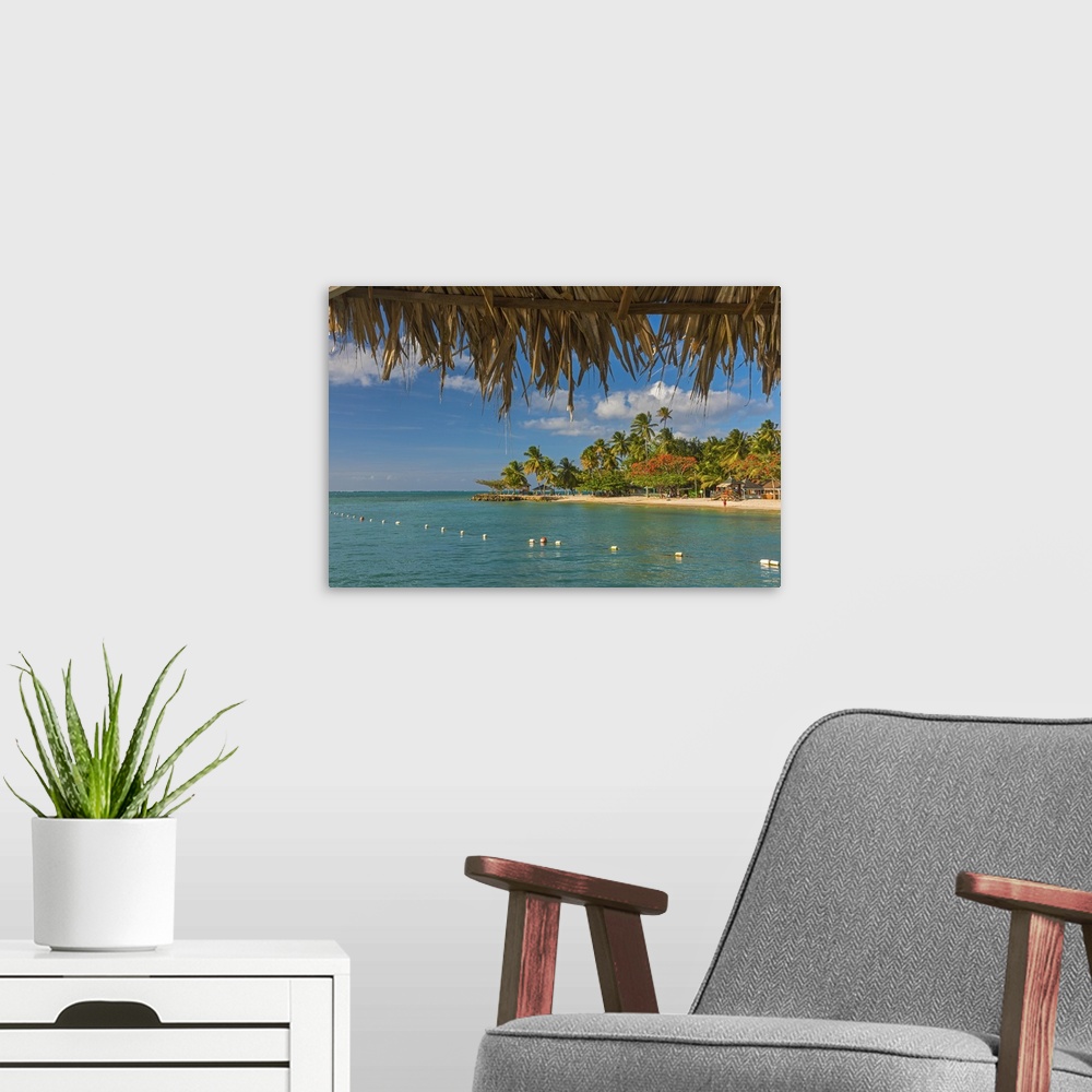 A modern room featuring Caribbean, Trinidad and Tobago, Tobago, Pigeon Point.