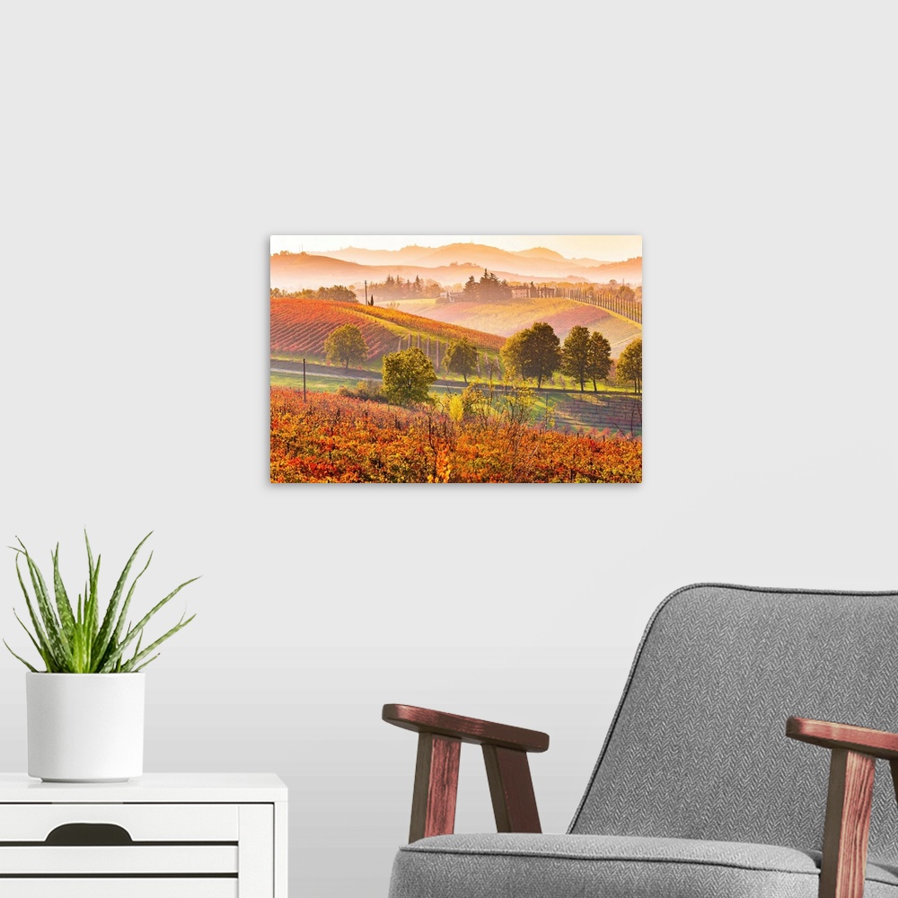 A modern room featuring Castelvetro, Modena, Emilia Romagna, Italy. Sunset over the Lambrusco Grasparossa vineyards and r...