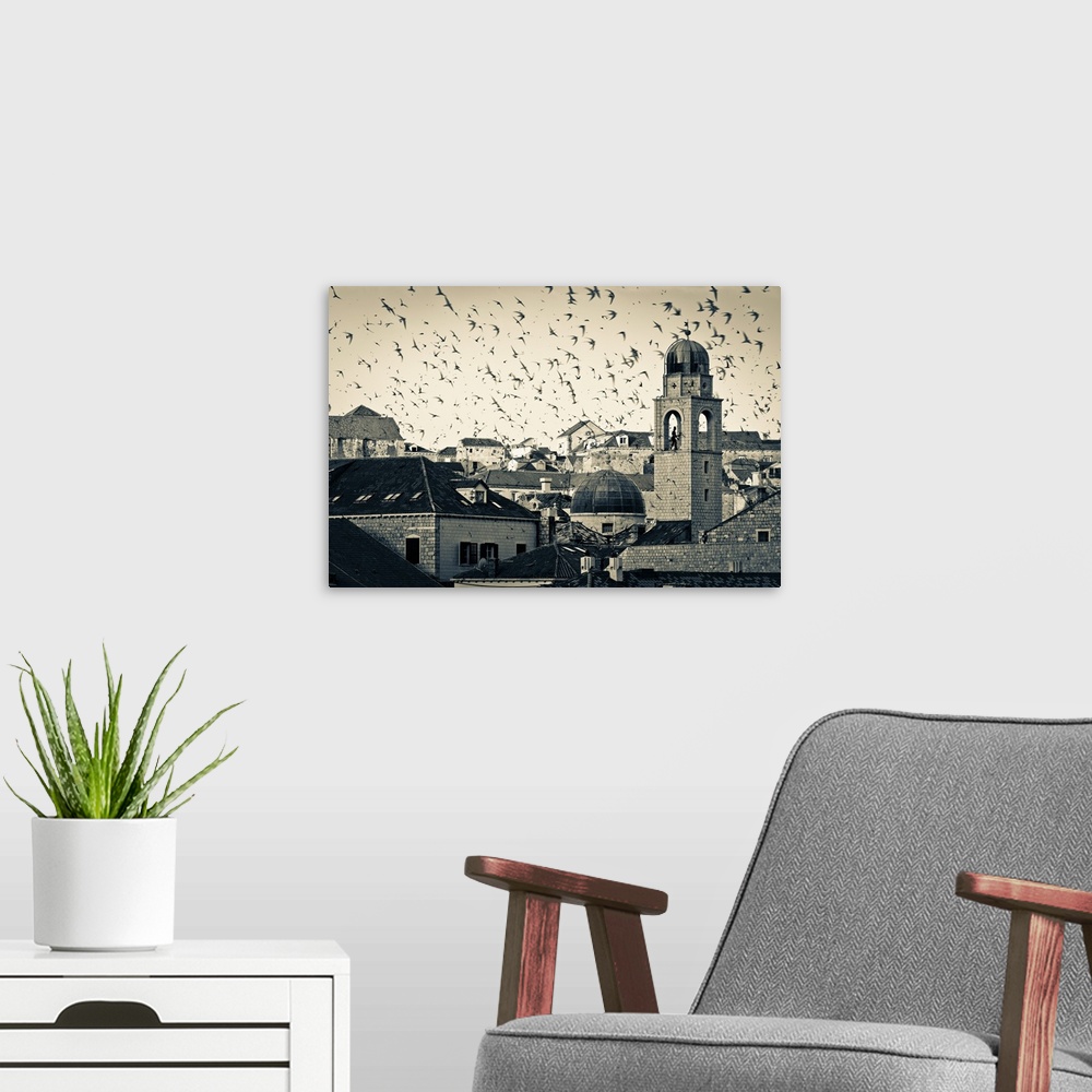 A modern room featuring Croatia, Dalmatia, Dubrovnik, Old Town (Stari Grad), Clock Tower surrounded by birds