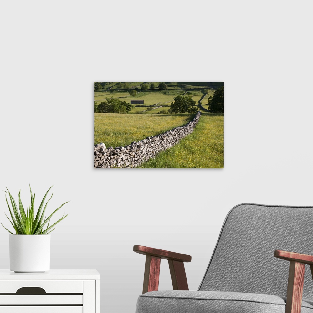 A modern room featuring Drystone wall landscape, Wharfedale, Yorkshire Dales National Park.