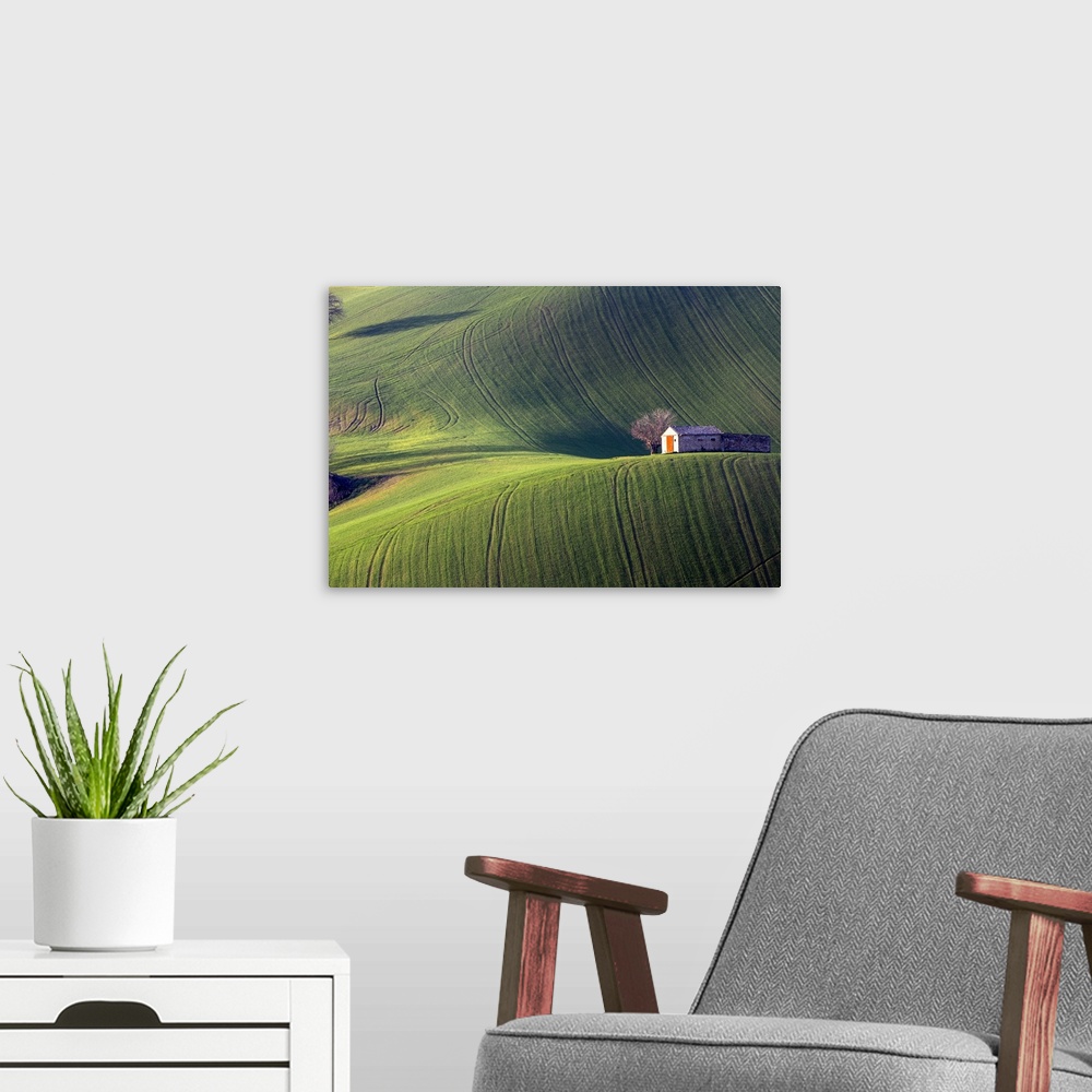 A modern room featuring Fields cultivated in the Marche countryside, Monte San Giusto village, Macerata district, Marche,...