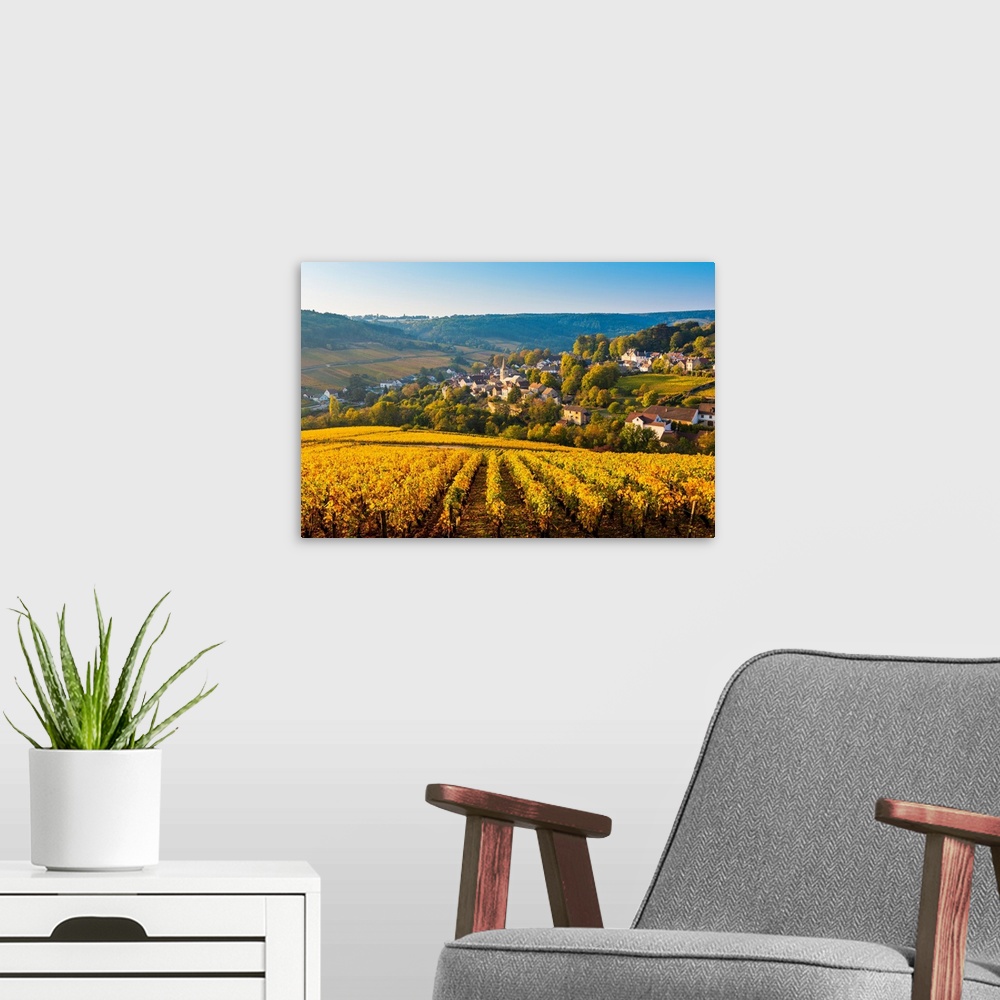 A modern room featuring France, bourgogne-franche-comte, burgundy, cote-d'or, pernand-vergelesses.