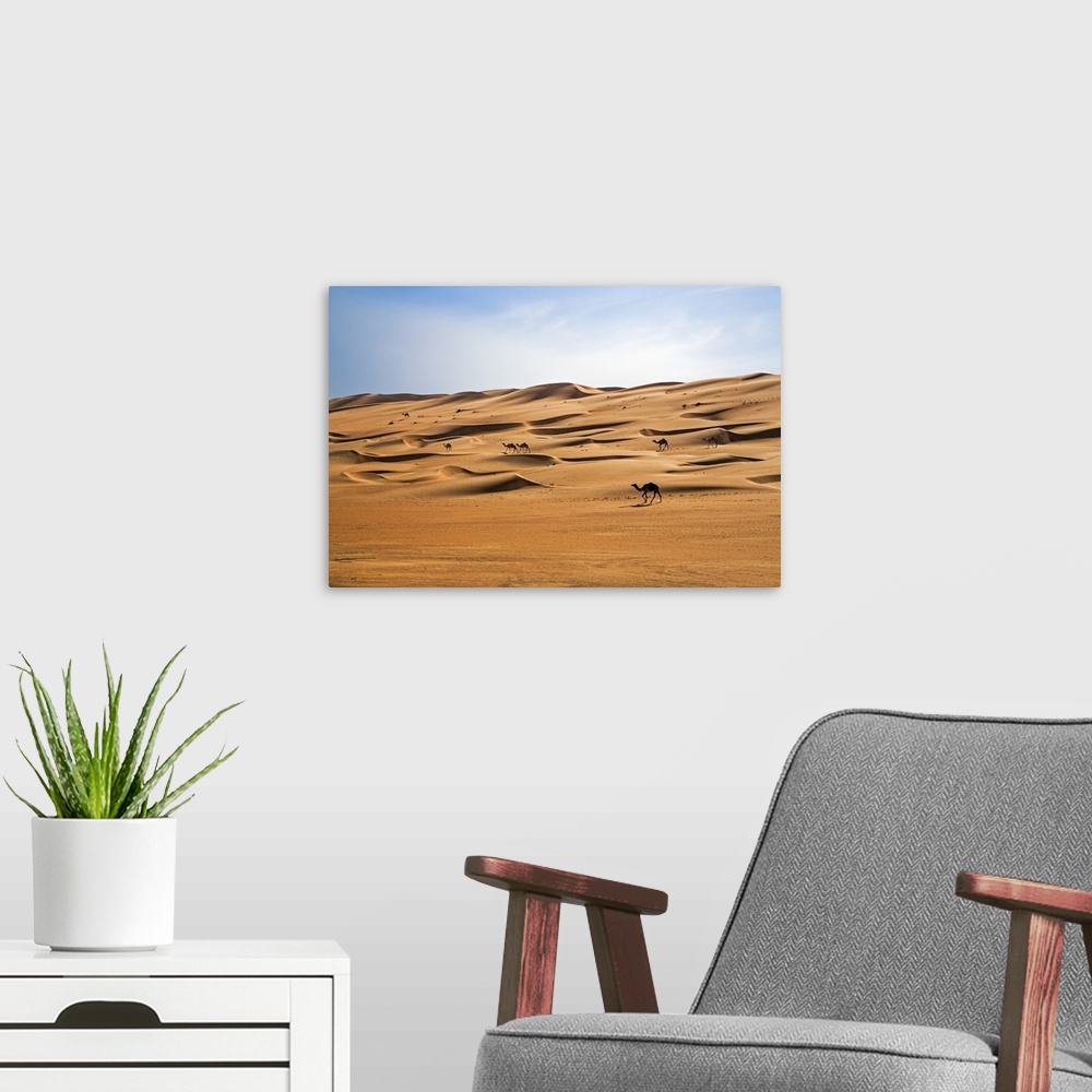 A modern room featuring Oman, Wahiba Sands. Camels belonging to Bedouins cross sand dunes in Wahiba Sands.