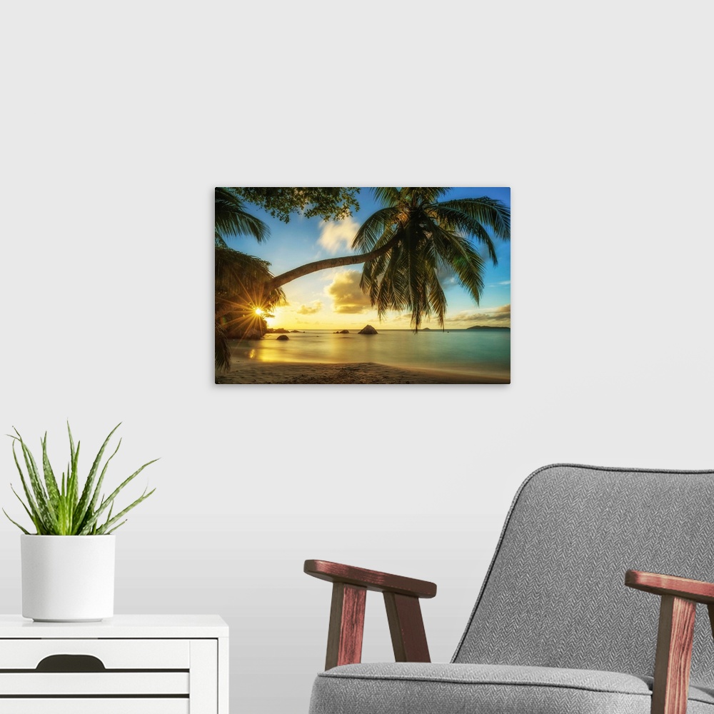 A modern room featuring Palm Tree At Sunset, Anse Lazio Beach, Praslin, Seychelles