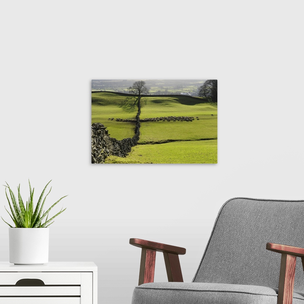 A modern room featuring Traditional Drystone wall and farming in the Yorkshire Dales National Park.