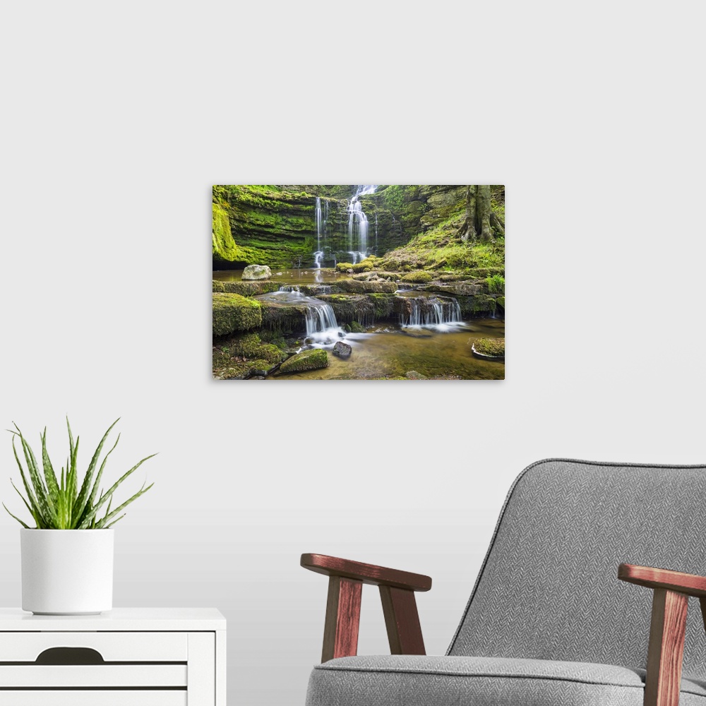 A modern room featuring United Kingdom, England, North Yorkshire, Settle, Scaleber Force at Springtime.