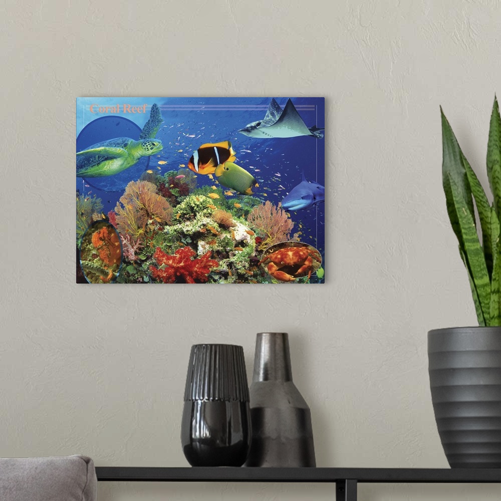 A modern room featuring Coral Reef