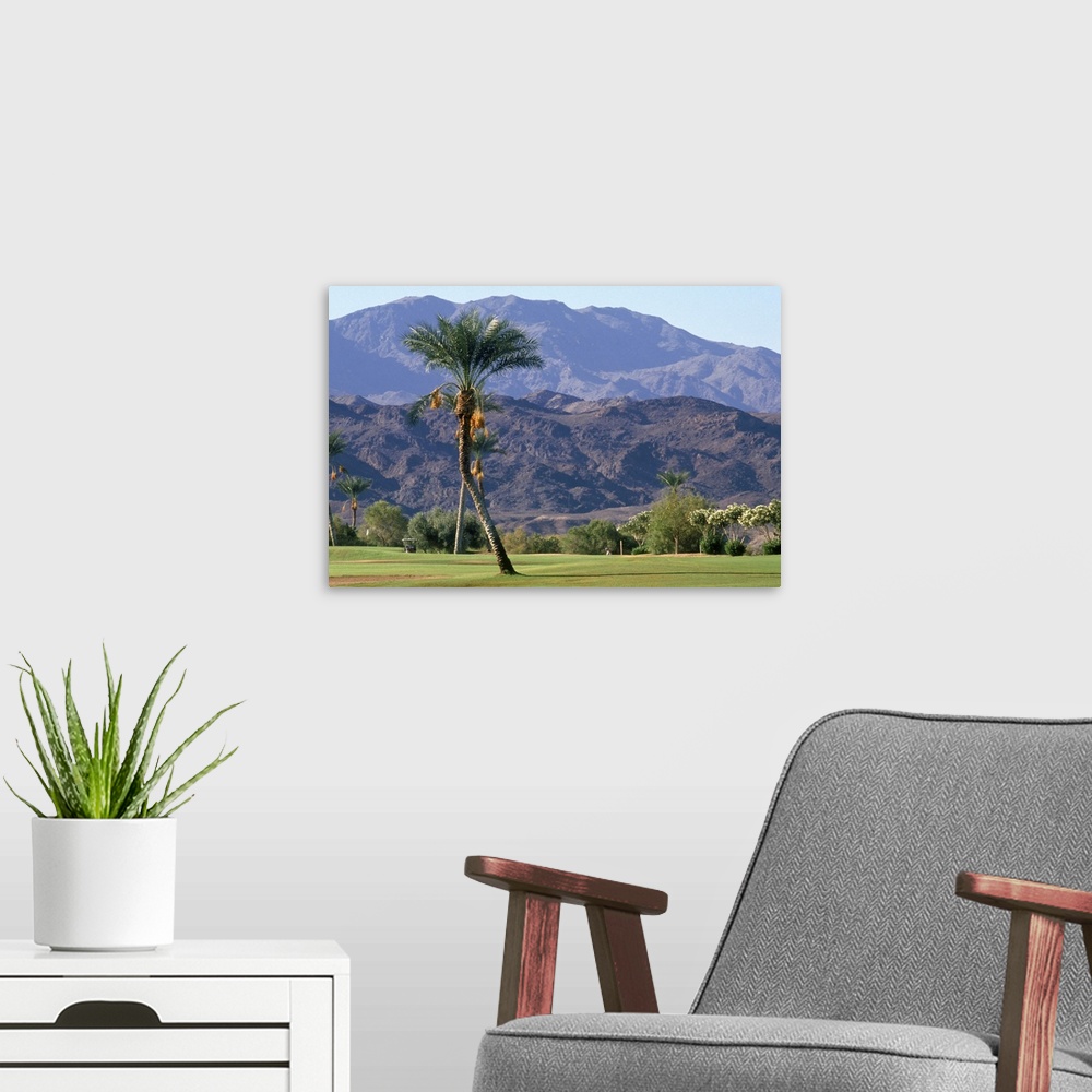 A modern room featuring Palm Tree & Mountains Golf Course