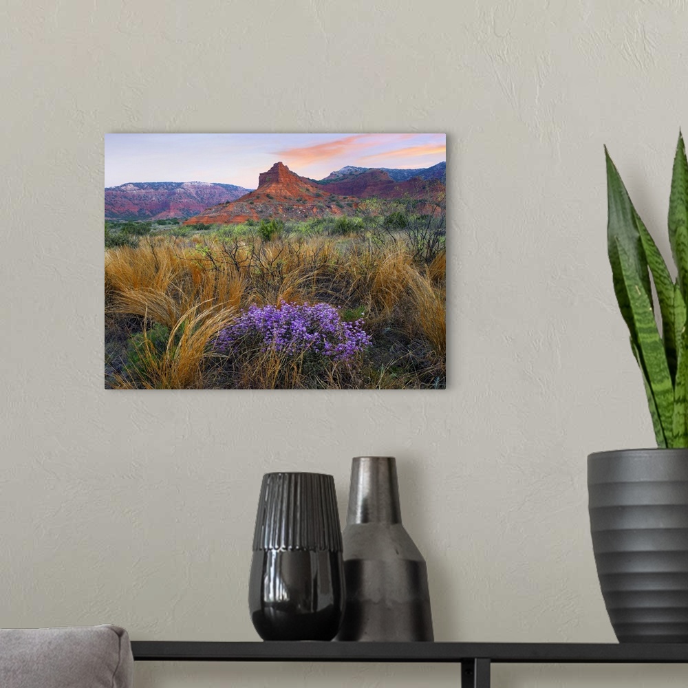 Caprock Canyons State Park, Texas Wall Art, Canvas Prints, Framed ...