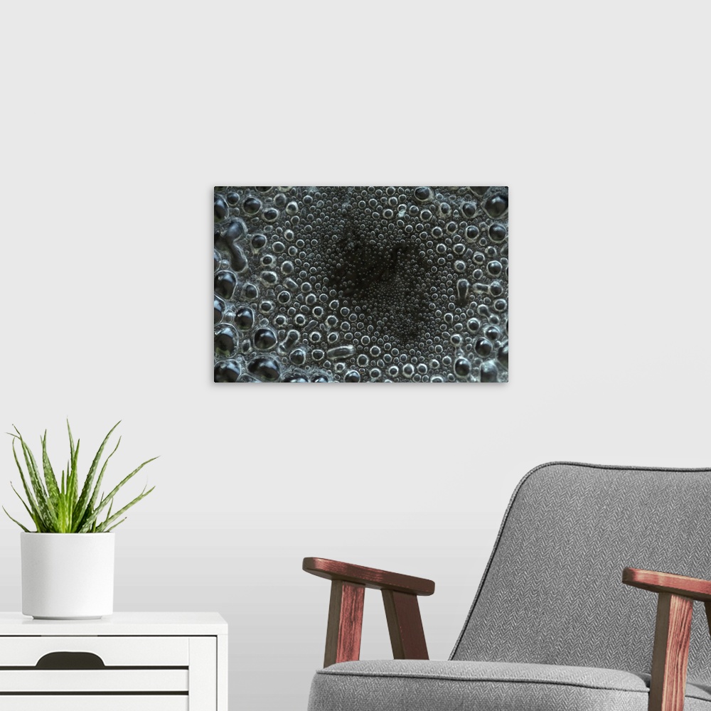 A modern room featuring Bubbles of water boiling in pan