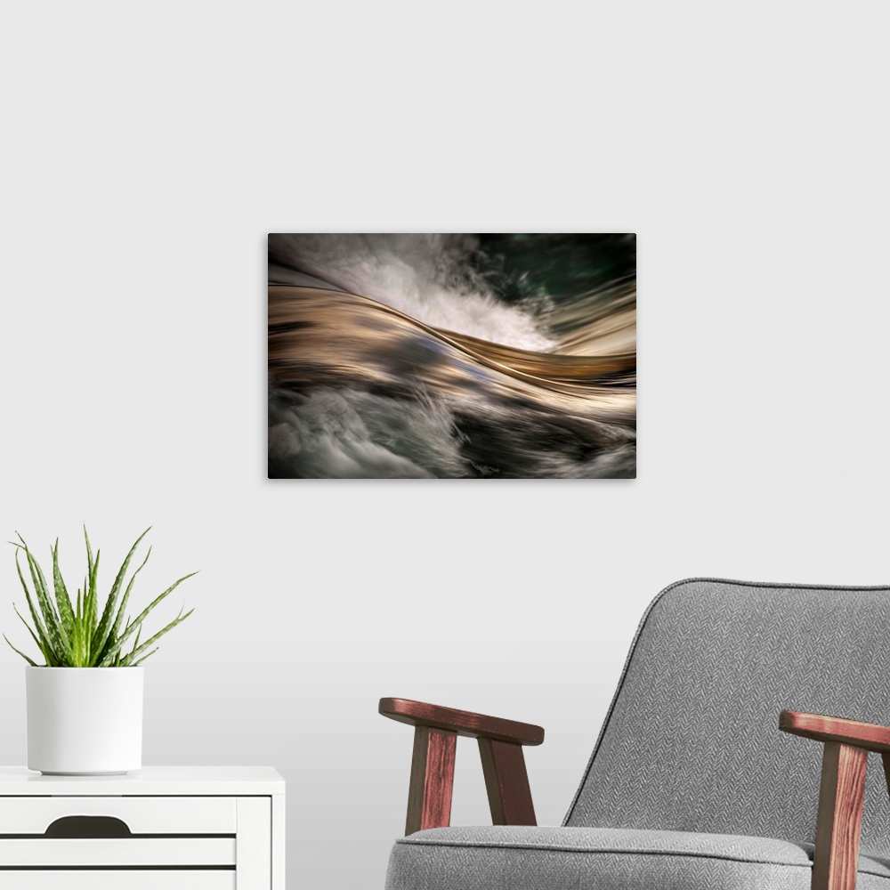 Bronze Solid-Faced Canvas Print