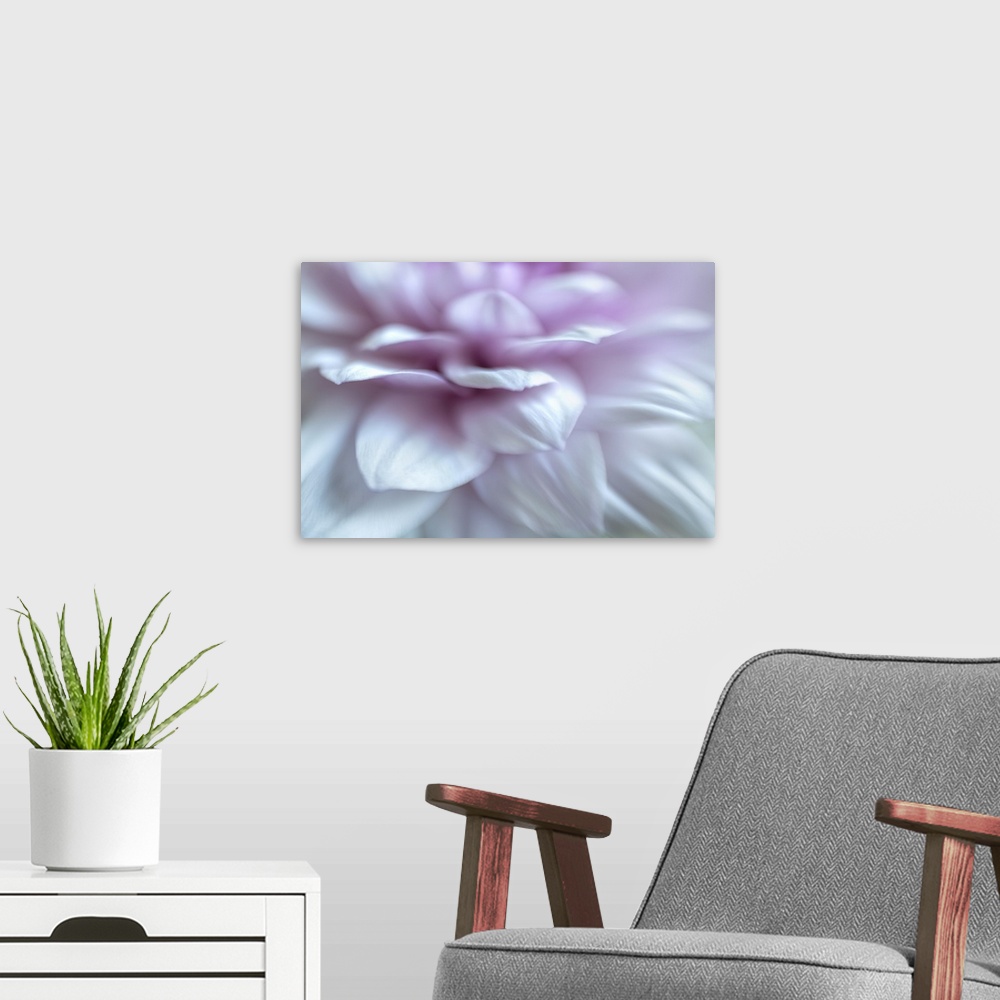 A modern room featuring Close-up of a flower