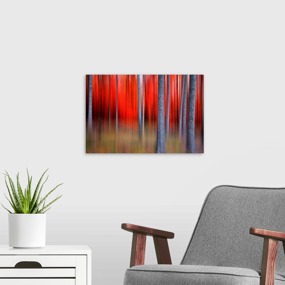 A modern room featuring Huge contemporary canvas art that is composed of a forest filled with thin trees.