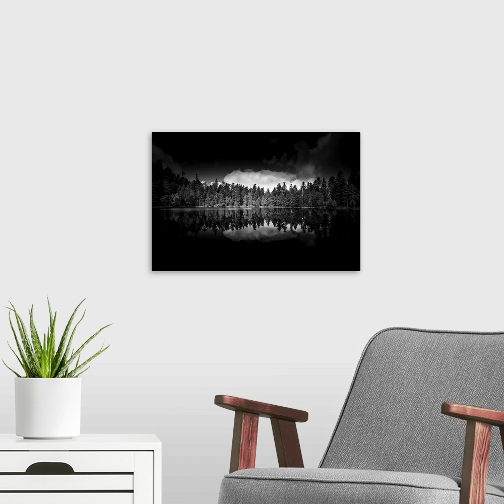 A modern room featuring Black and white photograph of a row of reflecting trees onto a still lake with high contrasting c...