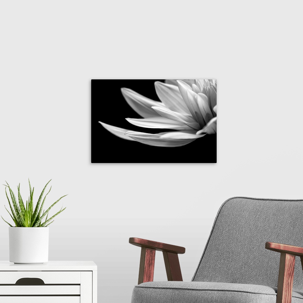A modern room featuring Portrait Of A Flower IV