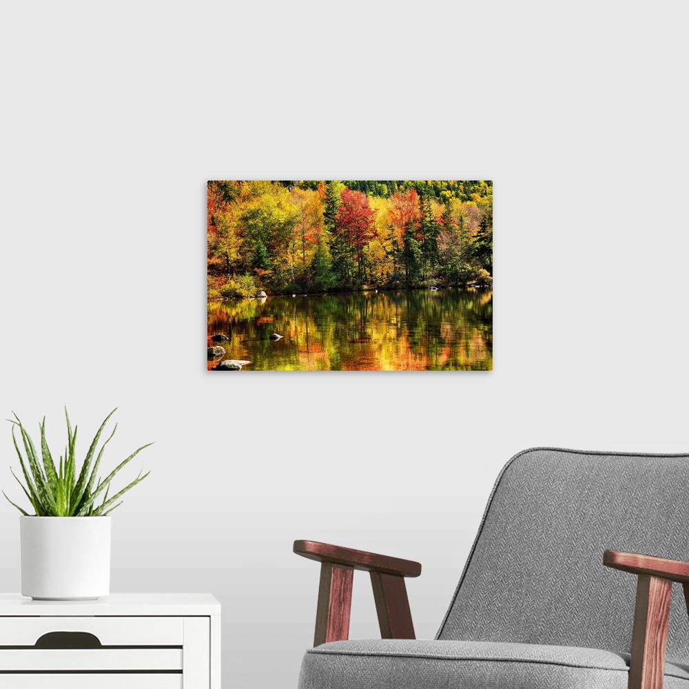 A modern room featuring Fine art photo of bright colors of a forest in autumn being reflected in a pond.