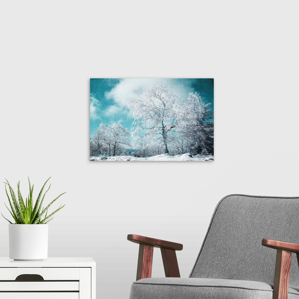 A modern room featuring Frozen trees against blue sky