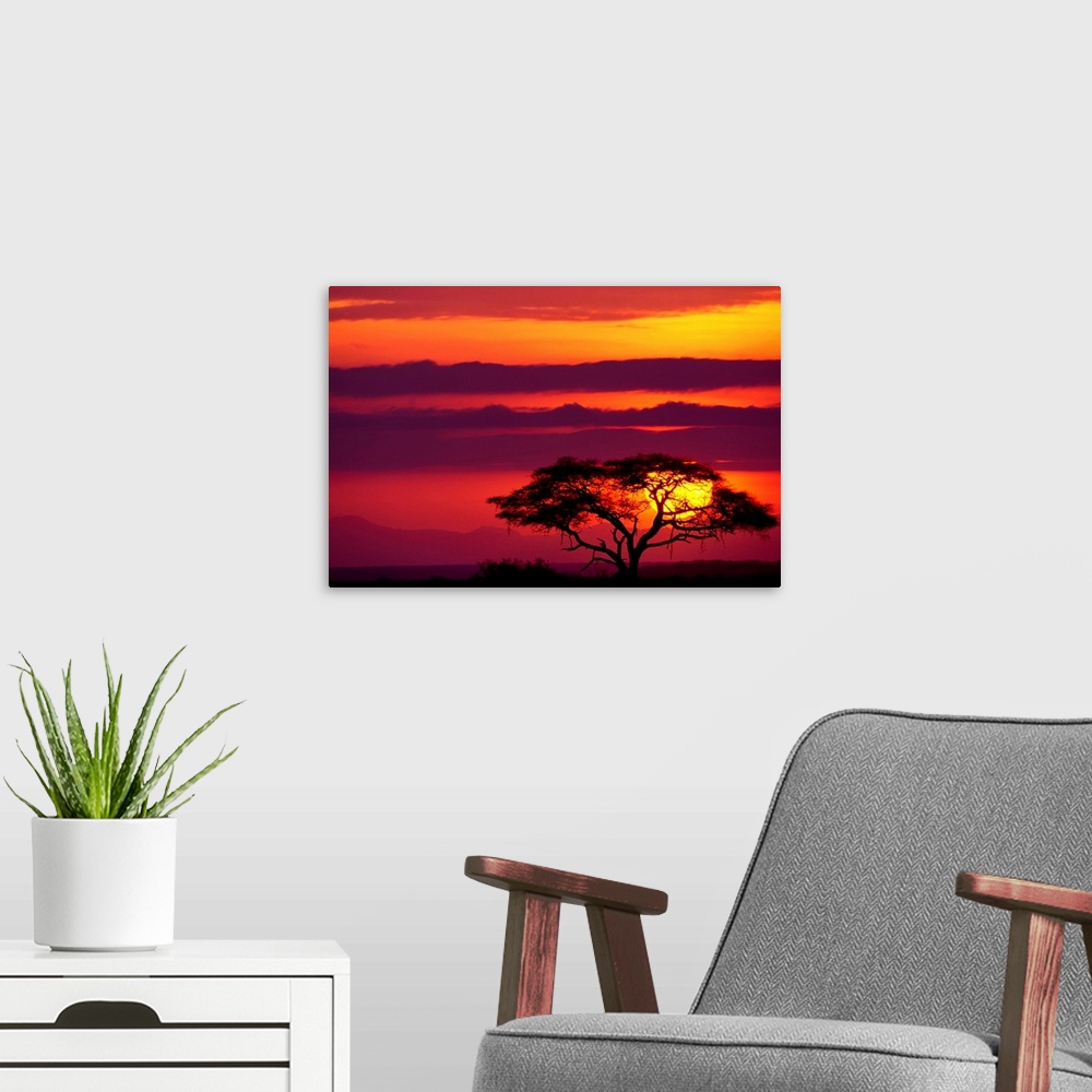 A modern room featuring Large photograph shows a lone acacia tree sitting within Amboseli National Park in Kenya while th...