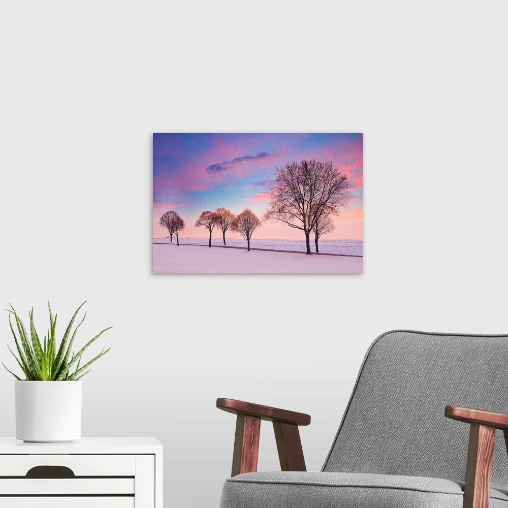 A modern room featuring Sunset over a snowy landscape with trees in the foreground