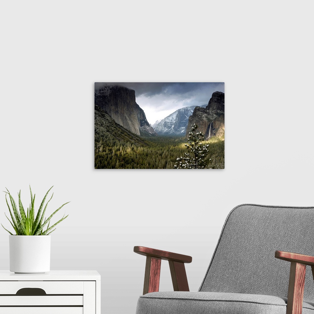 A modern room featuring Huge photograph displays a wide open valley within a national park in California densely covered ...