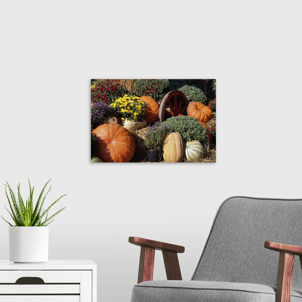 A modern room featuring Autumn harvest display with squash, mum flowers, and wagon wheel.