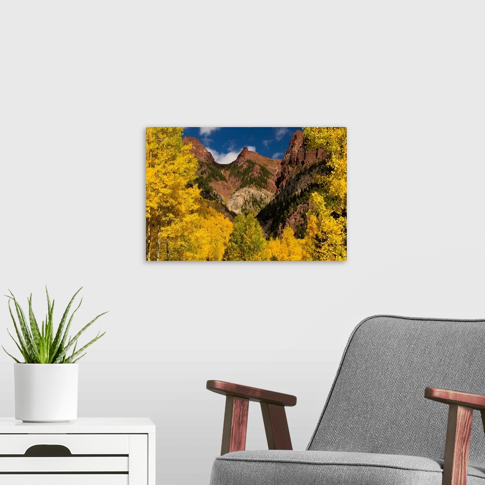 A modern room featuring Autumn trees on mountain, Maroon Bells, Maroon Creek Valley, Aspen, Pitkin County, Colorado, USA