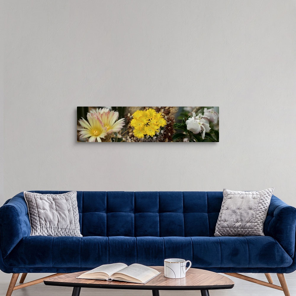 A modern room featuring Close-up of wildflowers