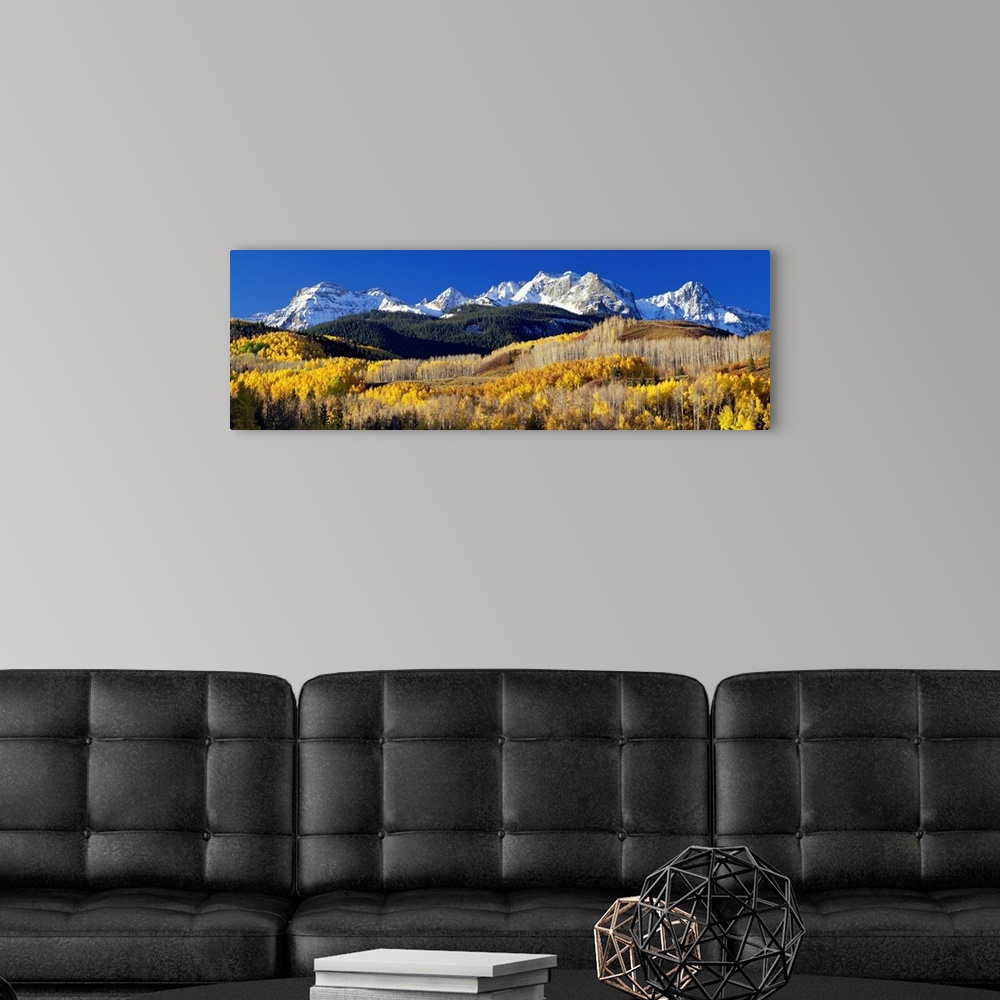 A modern room featuring A panoramic photograph taken of the Rocky Mountains in Colorado.  The bright trees in the foregro...