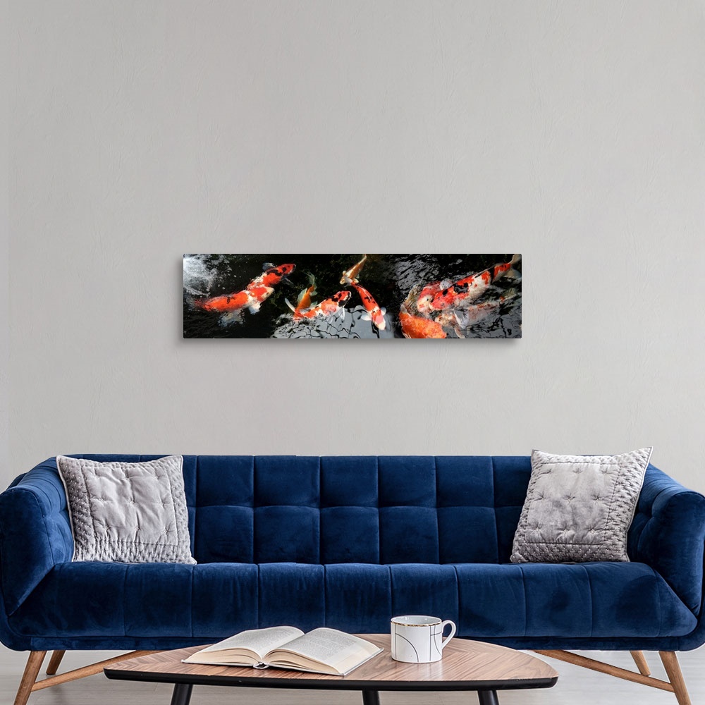 A modern room featuring Colorful Koi fish underwater